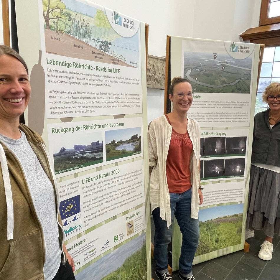 Im Rathaus Kalkar: Ausstellung über Flora und Fauna des selten gewordenen Röhricht