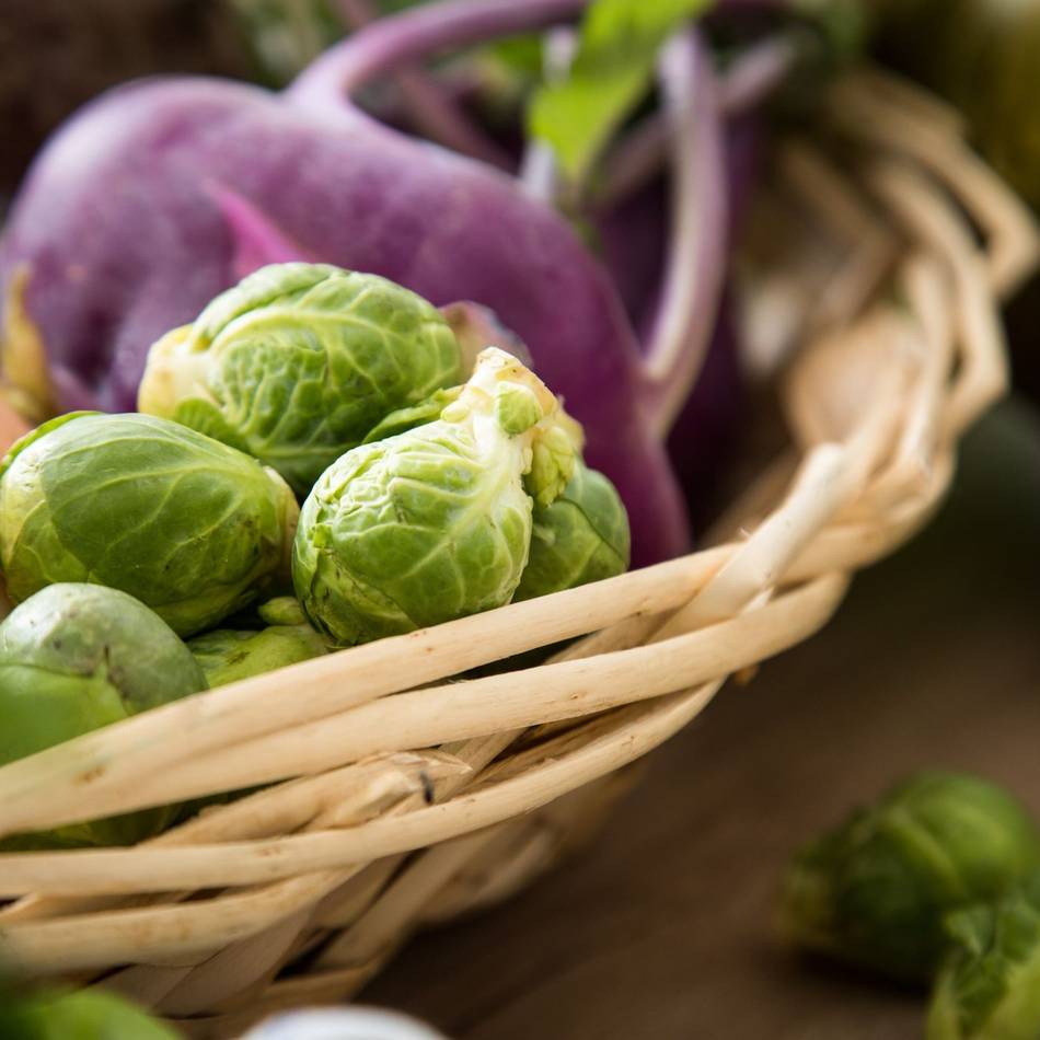 Bauernhofbesuch, Spartipps und Radtour: Aktionswoche des Ernährungsrates des Rhein-Kreis Neuss startet