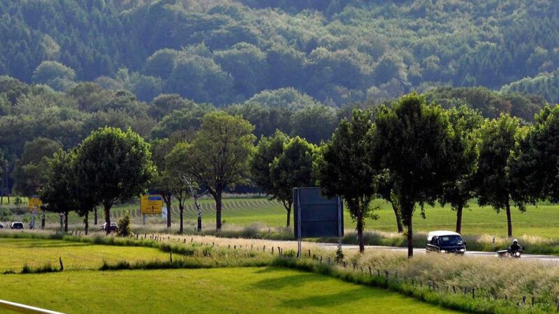 Sieben Fakten über Karthausen: Ein junges Baugebiet mit Steinzeitfunden