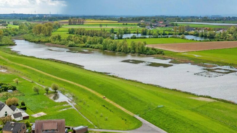 Deich zwischen Rees und Bienen: 19 Millionen für den Hochwasserschutz