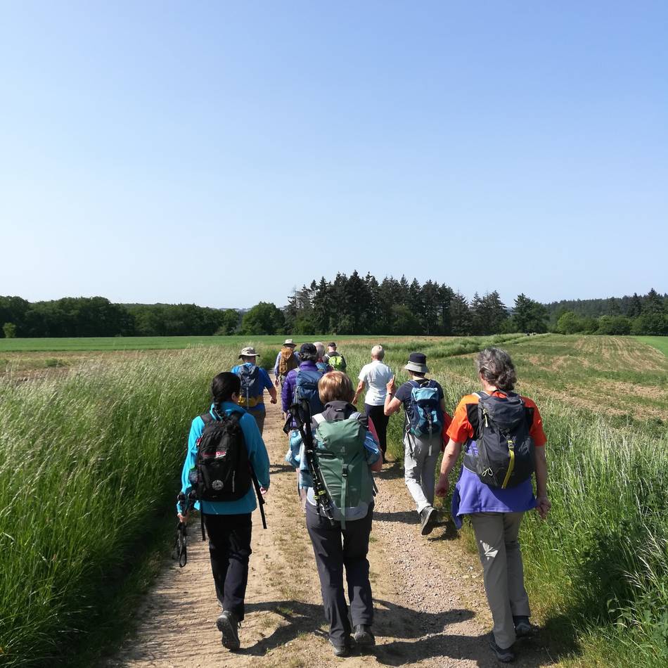 SGV Langenfeld/Monheim: Am 16. September wird vom Thomashof ins Eifgenbachtal gewandert