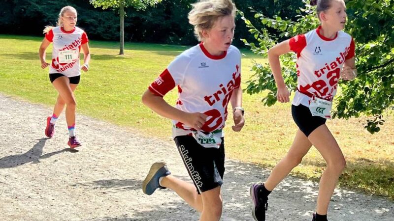 Wettbewerbe und gute Stimmung: Grüner See: So lief der Seeuferlauf