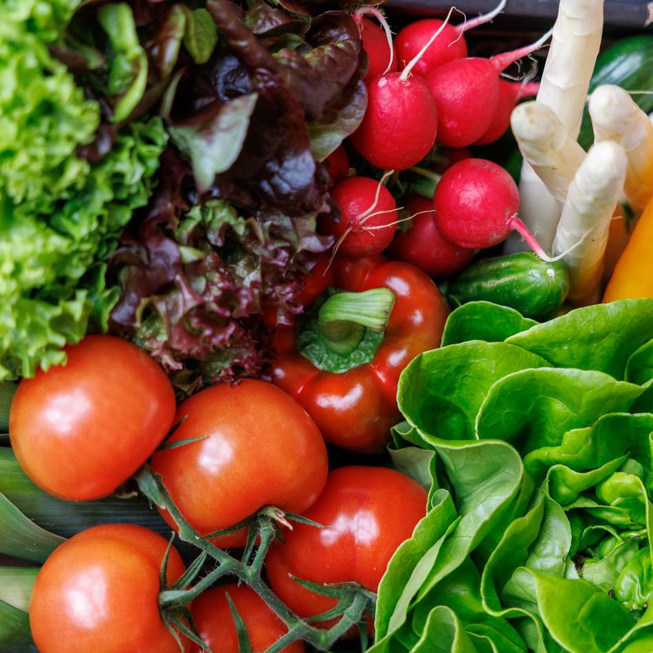 MS-Kontaktkreis in Bedburg-Hau: Vortrag zu gesunder Ernährung bei Multipler Sklerose