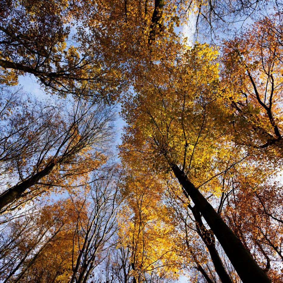 Jetzt anmelden: Der Herbst kann kommen: Ferienprogramm der Stadt