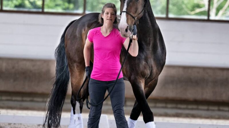 Reitsport auf Gut Langfort: Um Stangen und Pylone – Geschicklichkeitsübungen zu Pferde