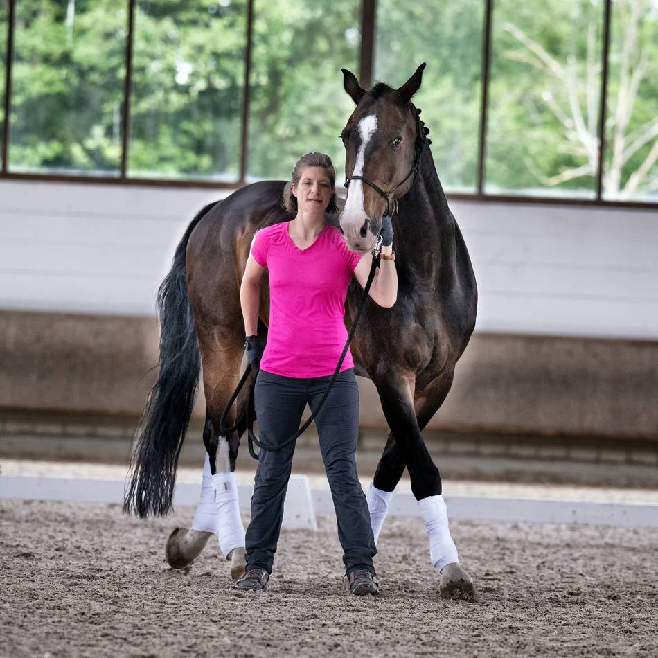 Reitsport auf Gut Langfort: Um Stangen und Pylone – Geschicklichkeitsübungen zu Pferde