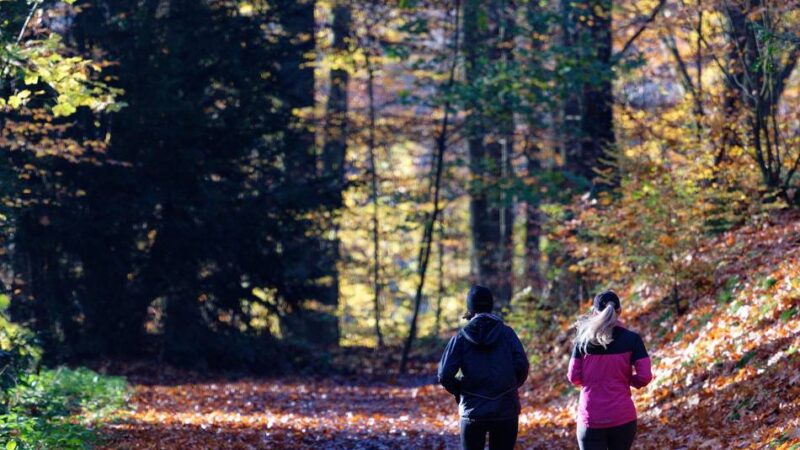 Herzstiftung Krefeld : So werden Sie gesund alt