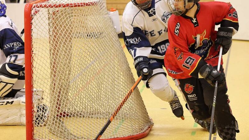 Siegesserie, Spitzenposition und Heimvorteil : Hilden Flames träumen vom schnellen Bundesliga-Comeback