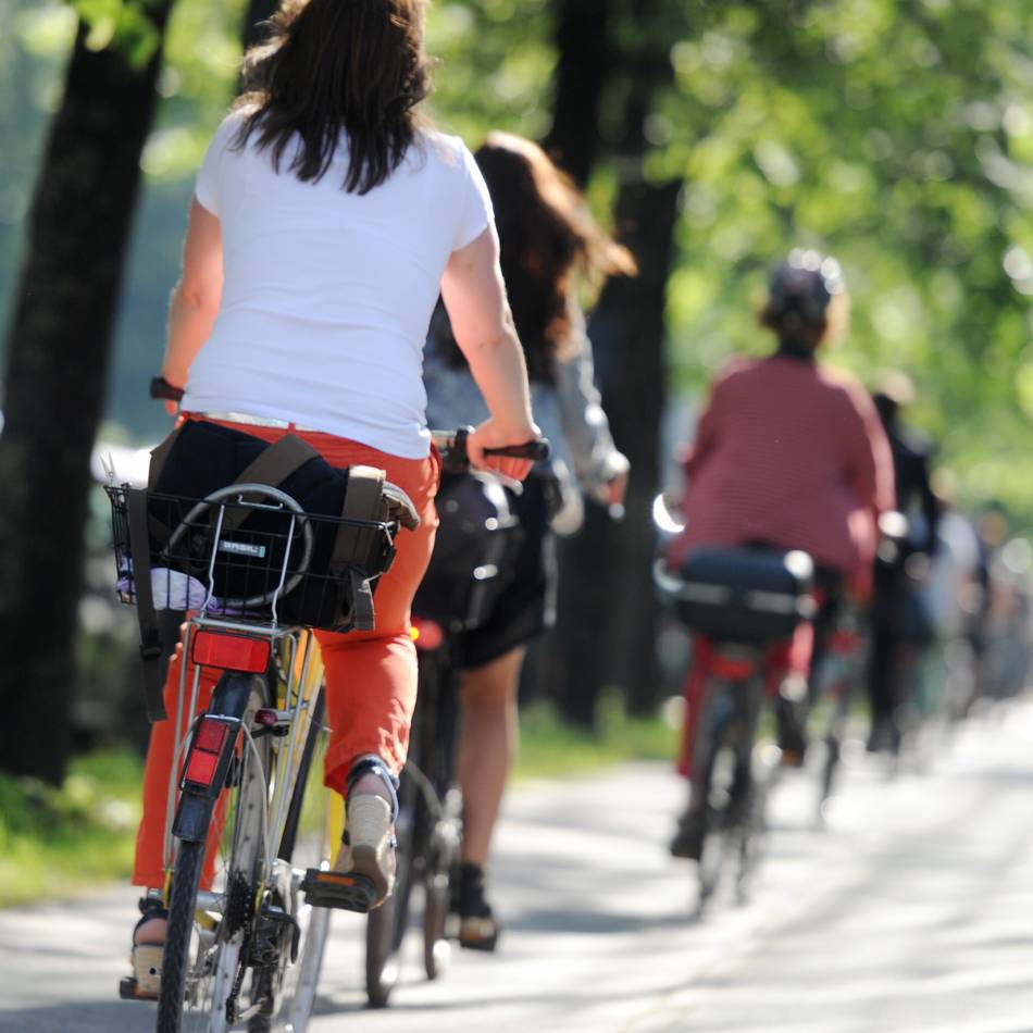 Umleitungen werden eingerichtet: Kreis Wesel saniert Radwege in Alpen