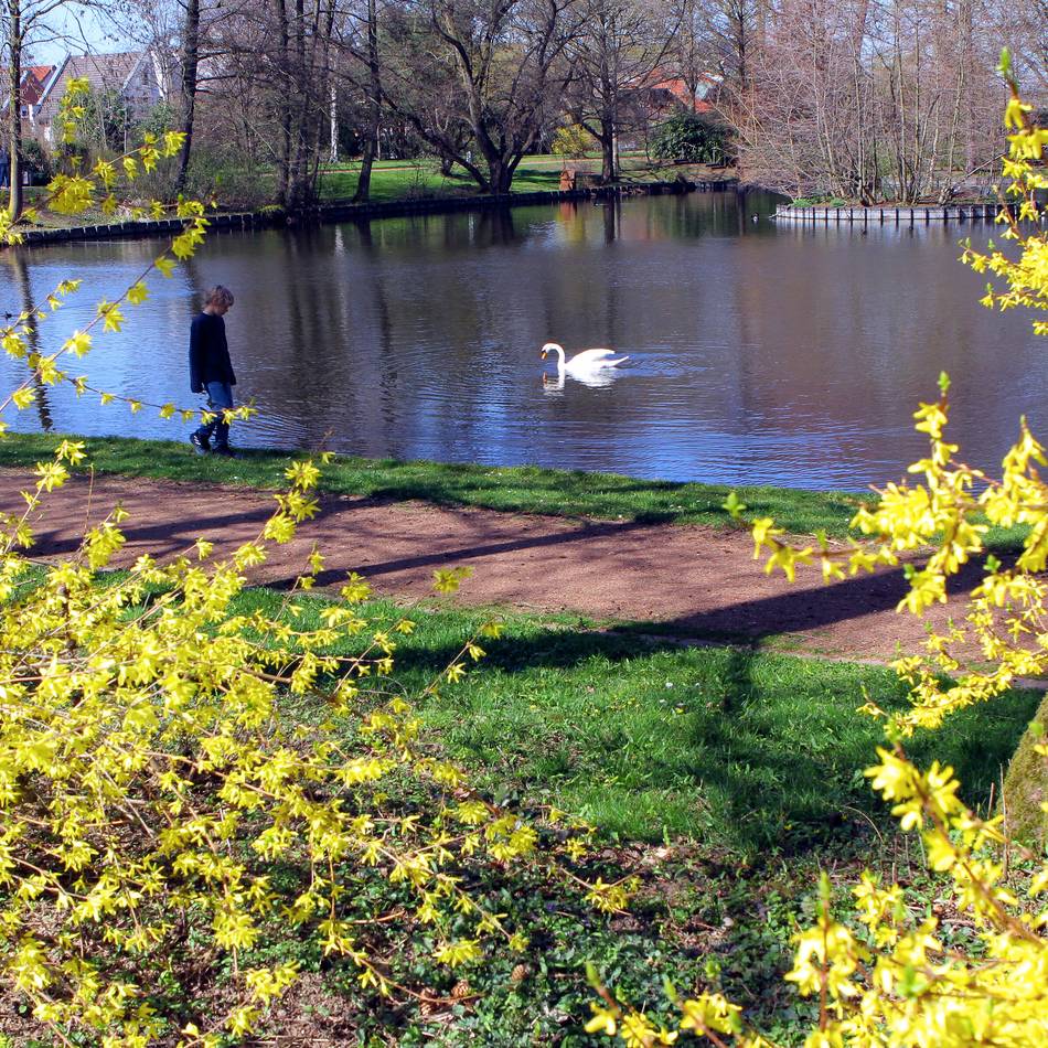Kommnunalwahl 2025 in Rheinberg: Linke wollen den Stadtpark stärker nutzen