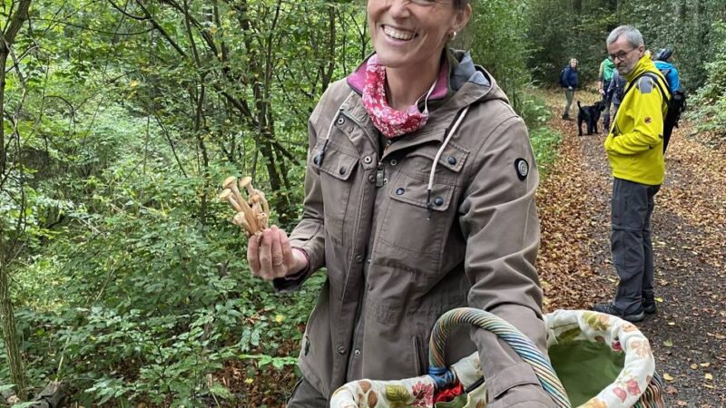 Bergische Wanderwochen auch in Radevormwald: Für einige Angebote gibt es noch freie Plätze