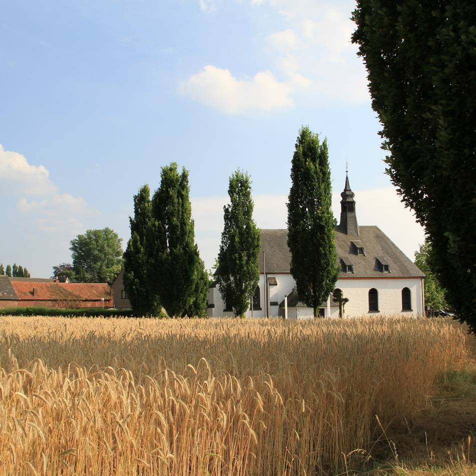 Kirche in Meerbusch: Büdericher freuen sich auf Niederdonker Festoktav