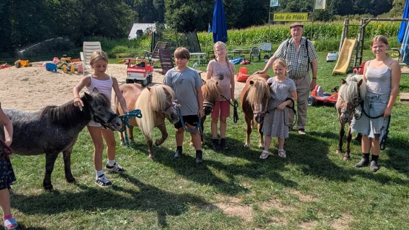 Auf dem Hof von Matthias Bongartz: Neues Zuhause für sechs Ponys in Lüttelforst