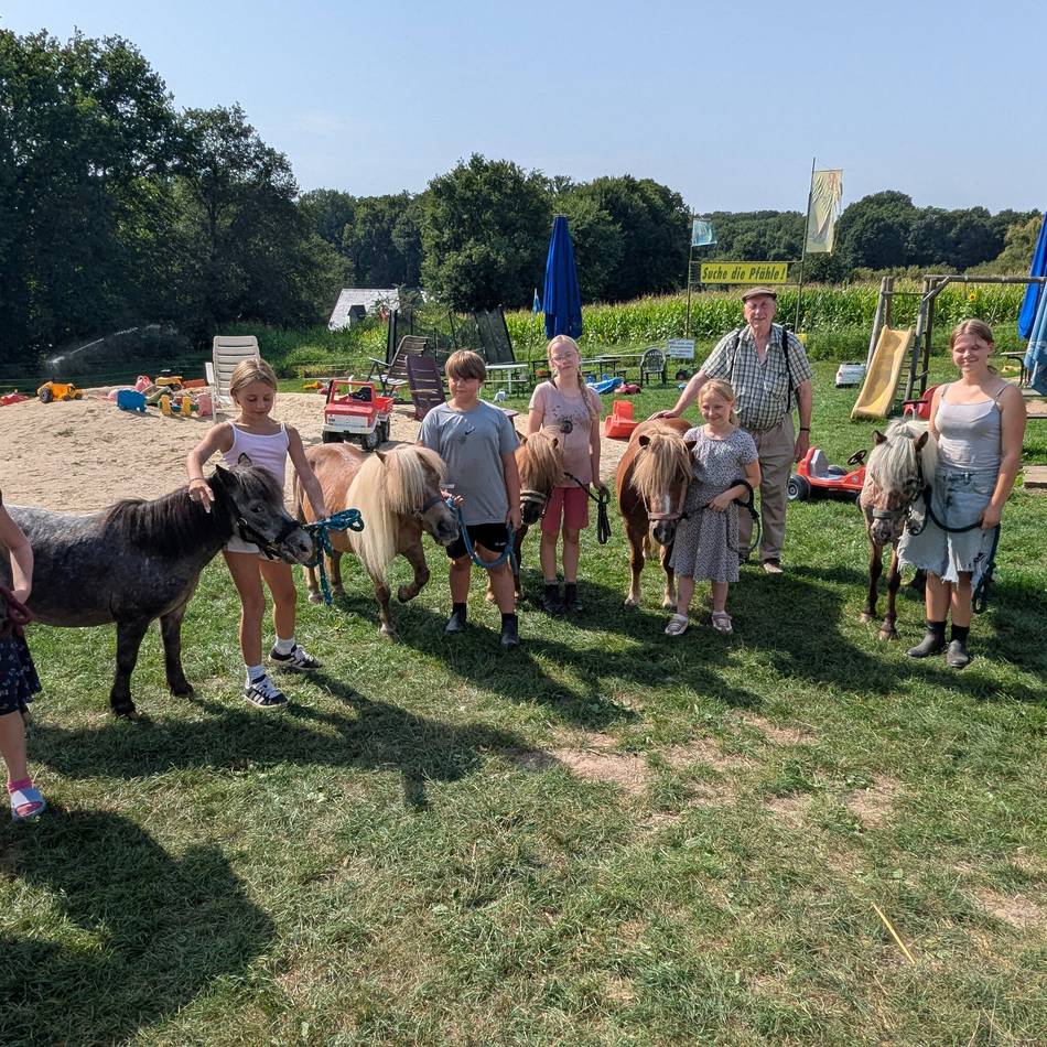 Auf dem Hof von Matthias Bongartz: Neues Zuhause für sechs Ponys in Lüttelforst