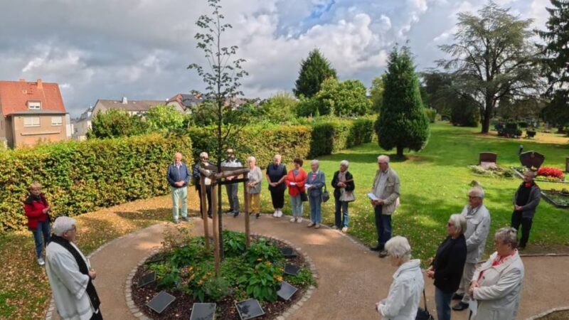Friedhof in Quettingen: Großes Interesse an pflegefreien Baumbestattungen