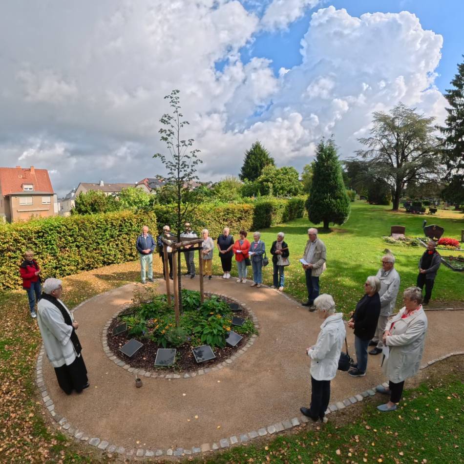 Friedhof in Quettingen: Großes Interesse an pflegefreien Baumbestattungen