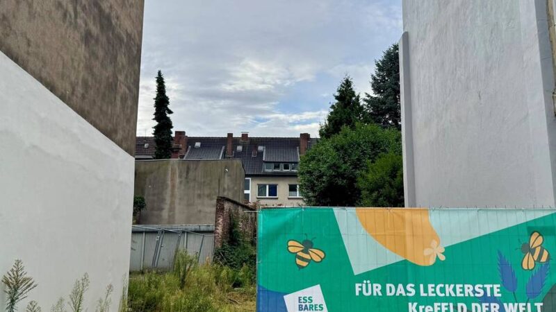 Projekt für mehr Grün in Krefeld: Stadt bereitet Fläche für Pocket-Park vor