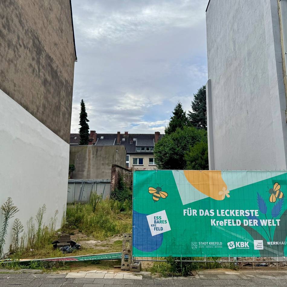 Projekt für mehr Grün in Krefeld: Stadt bereitet Fläche für Pocket-Park vor