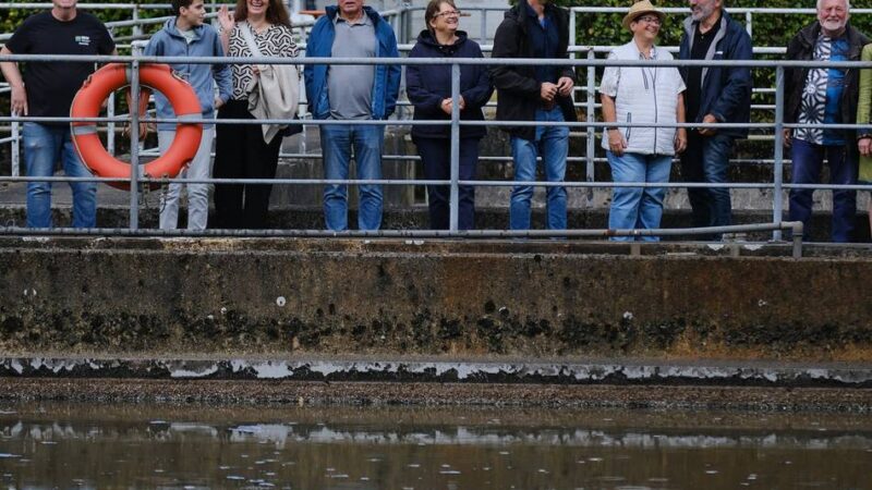 Hinter die Kulissen geblickt: Wie Abwasser wieder sauber wird