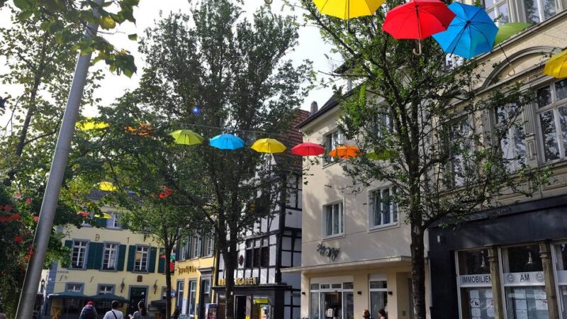 Viele Angebote in Ratingen: Die Tage der Nachhaltigkeit starten