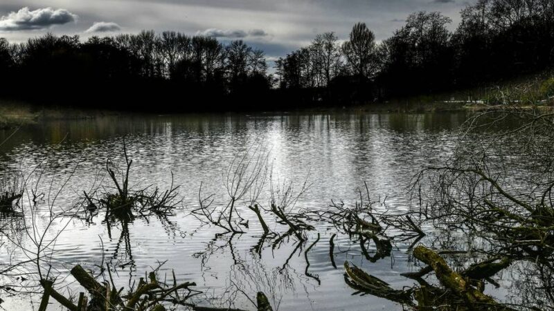 Antrag von Grünen und SPD in Geldern: Wasserqualität des Holländer Sees soll besser werden