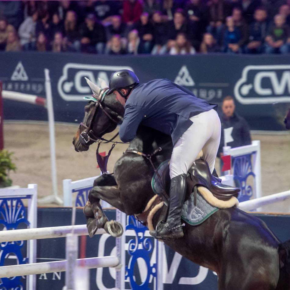 „Christmas Edition“ für Reitsportfreunde: So sehr weihnachtet es im Springparcours