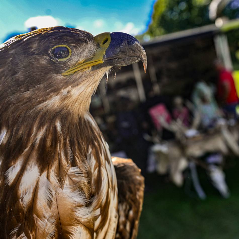 Veranstaltung im Schlosspark: Staunen und Mitmachen beim Moerser Umwelttag