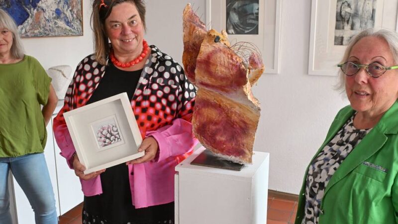 Ausstellung in Straelen: Zerbrechliche und schützenswerte Strukturen