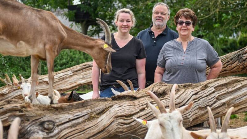 Generationenwechsel: Junge Landwirtin modernisiert Bööscher Ziegenhof in Vinkrath