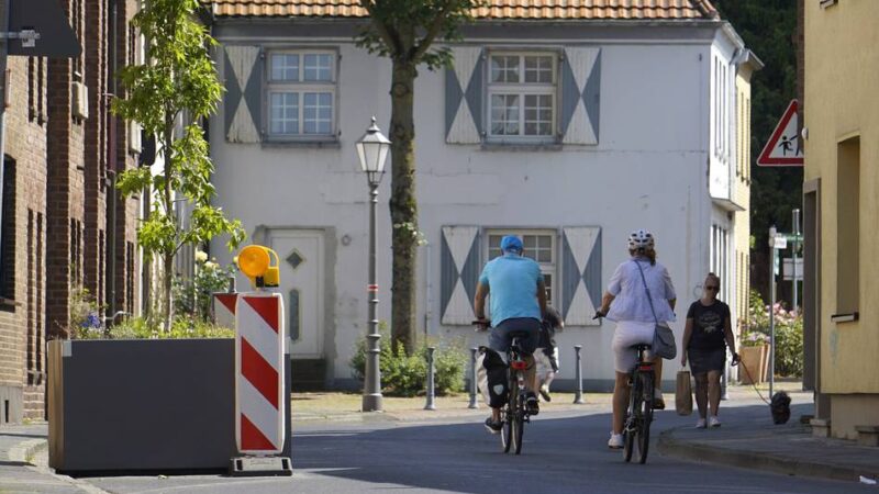 Mehr Bäume in Wohngebieten: Xanten startet Programm „Natürlicher Klimaschutz“