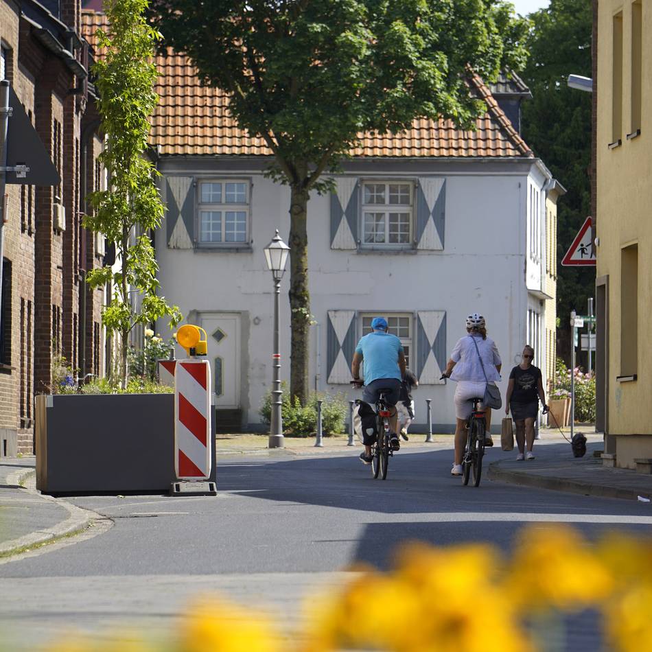 Mehr Bäume in Wohngebieten: Xanten startet Programm „Natürlicher Klimaschutz“