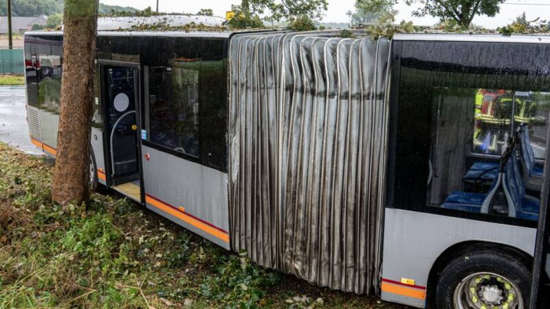 Fahrzeug von Fahrbahn abgekommen: Unfall mit Linienbus in Labbeck – mehrere Kinder leicht verletzt