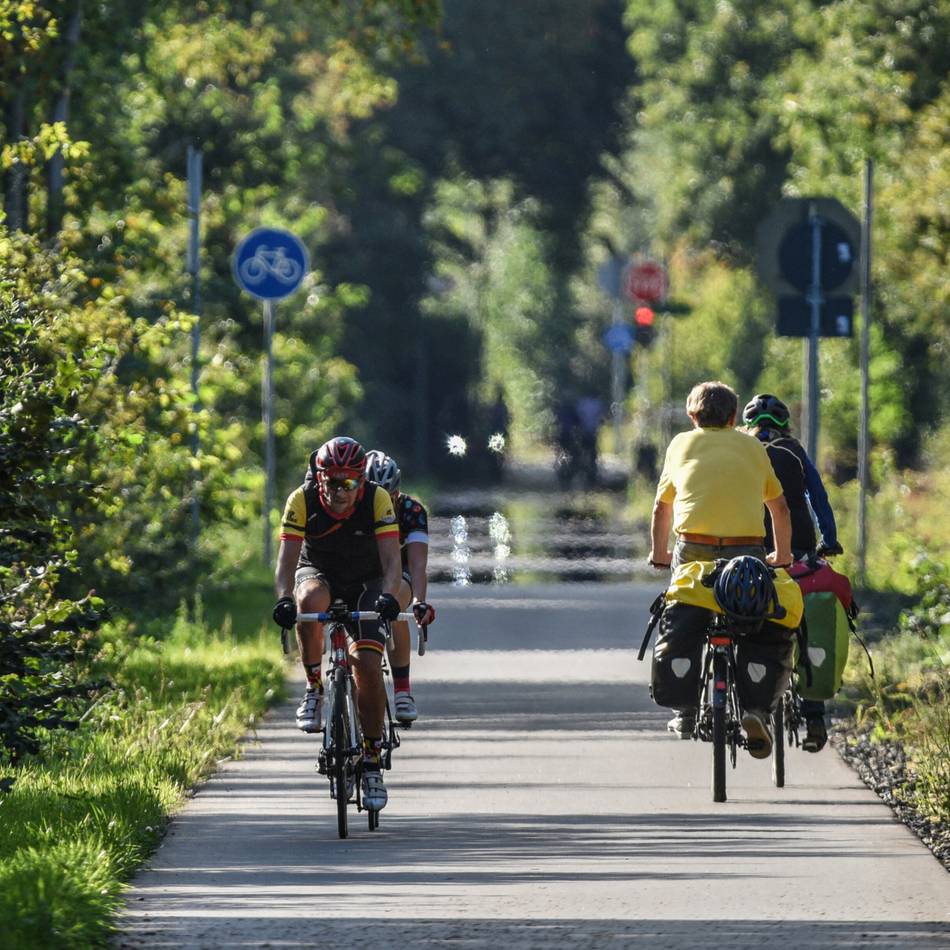 Zwischen Kleve und der Grenze: „Grüne Welle“ für Radfahrer auf der Europa-Radbahn?