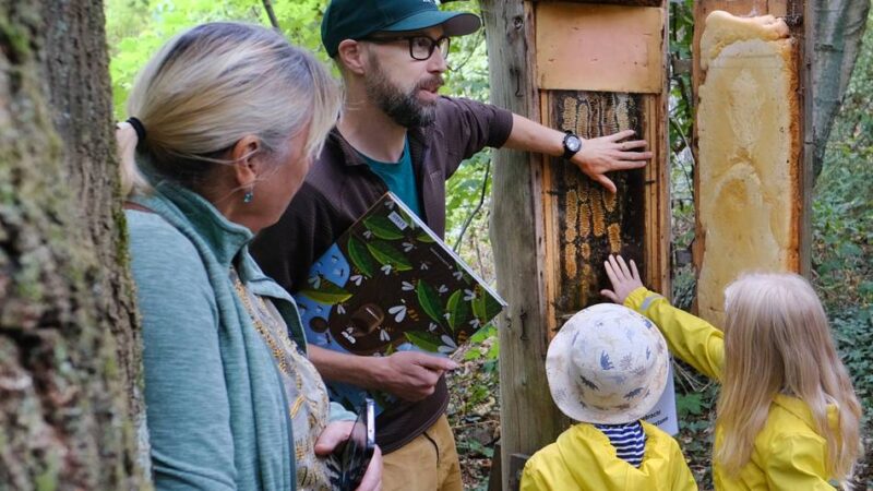 Sommerfest der Bienenzüchter: Ratinger Imker lassen sich über die Schulter schauen