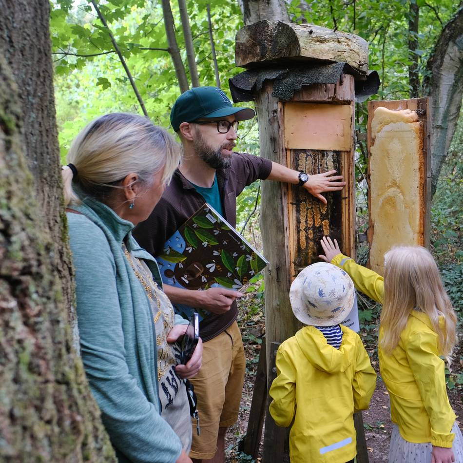 Sommerfest der Bienenzüchter: Ratinger Imker lassen sich über die Schulter schauen