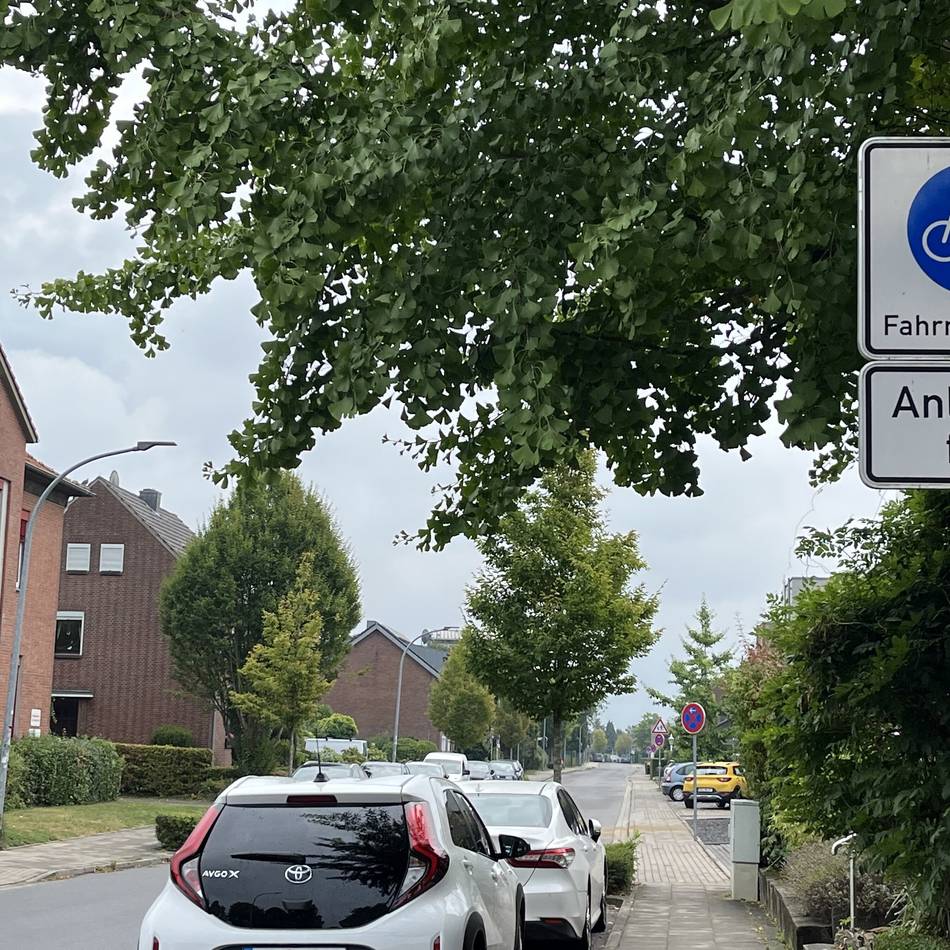 Radverkehrskonzept: Stadt Goch plant ein Netz aus Fahrradstraßen