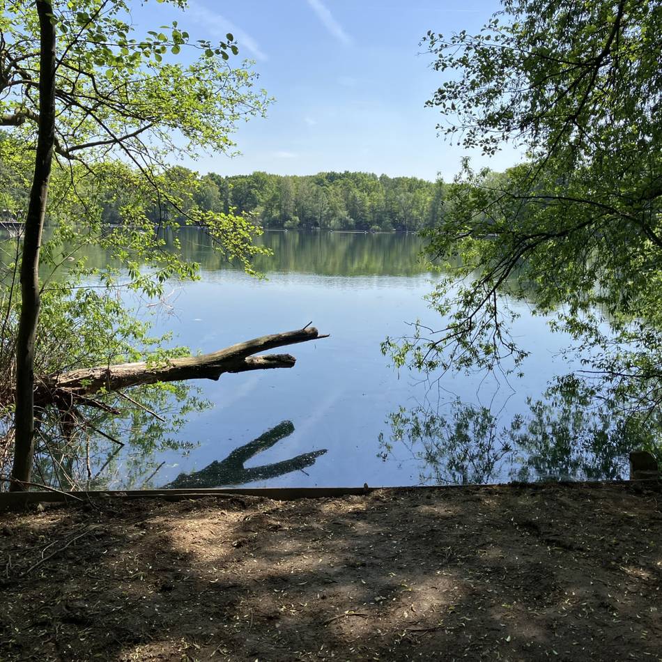 Familientag mit elektronischer Musik: Festival-Premiere am Eyller See – das erwartet die Besucher von „Electric Eyllland“