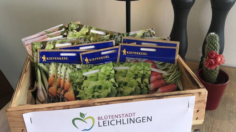 Vegetarische Genusswochen in Leichlingen: Das bieten die 18 Restaurants