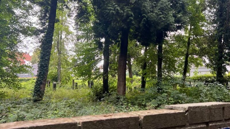Digitale Karte gibt Auskunft: Wo im Kreis Wesel jüdische Friedhöfe geschändet wurden