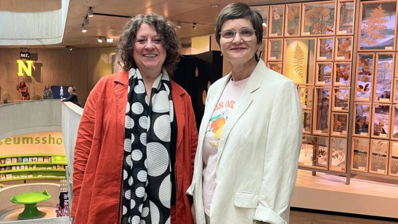 Neanderthal Museum Mettmann: Frischer Wind im Neanderthal Museum – das ist die neue Ausstellungsleiterin