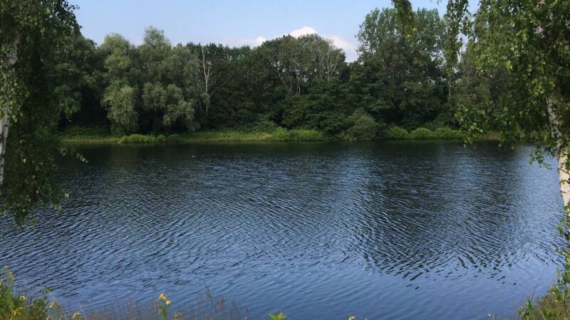 Natur in Meerbusch: Stadt wird Eigentümerin von zwei Baggerseen in Osterath