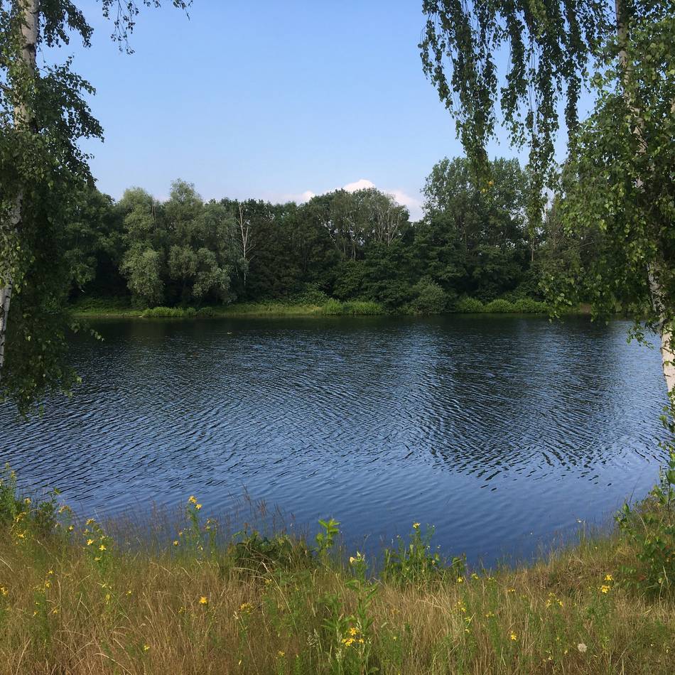 Natur in Meerbusch: Stadt wird Eigentümerin von zwei Baggerseen in Osterath