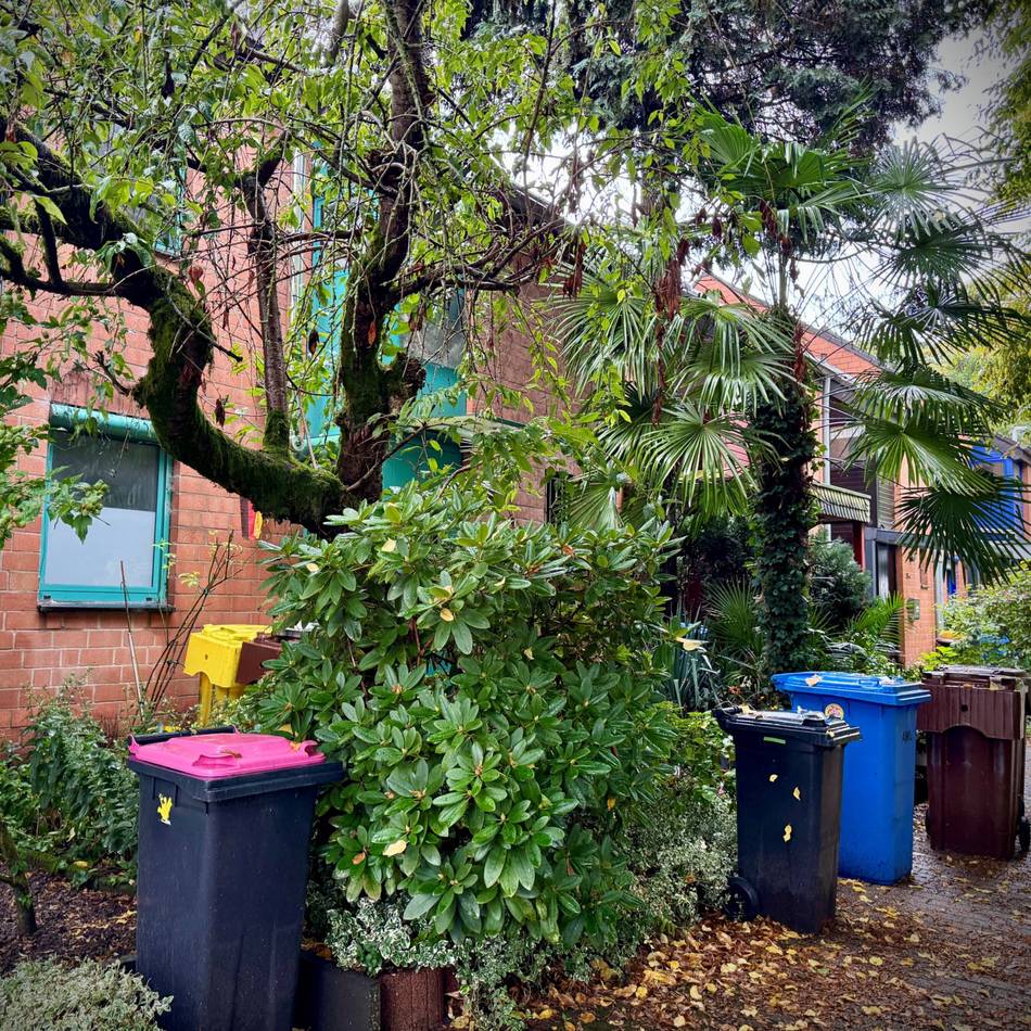 132 Katzen aus Haus in Neuss befreit: Nachbarn schockiert – „Die Dunstwolke ließ einen fast in Ohnmacht fallen“