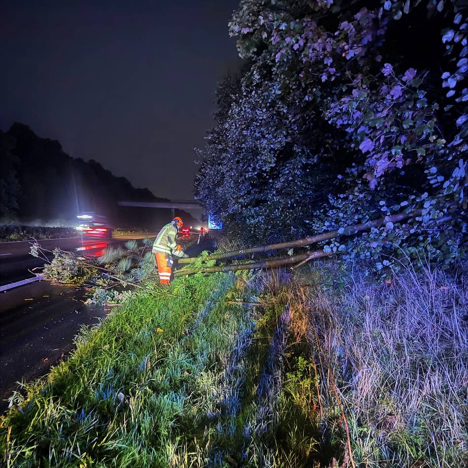 Freiwillige Feuerwehr Alpen im Einsatz: Baum stürzt bei Sturm auf A57