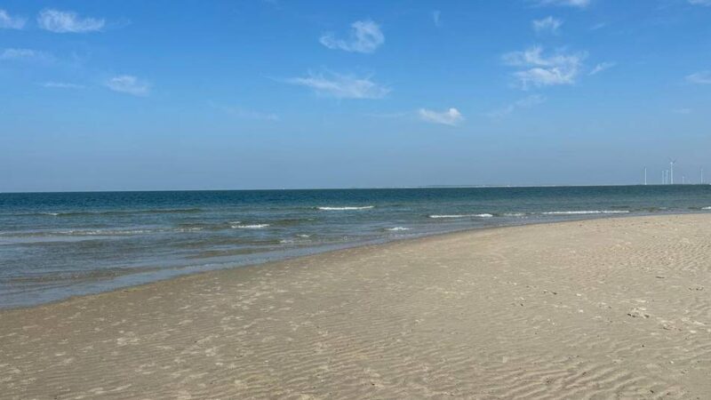 An der niederländischen Küste: Gefährlicher Fang am Strand von Oostkapelle – Stachelrochen sorgt für Aufsehen