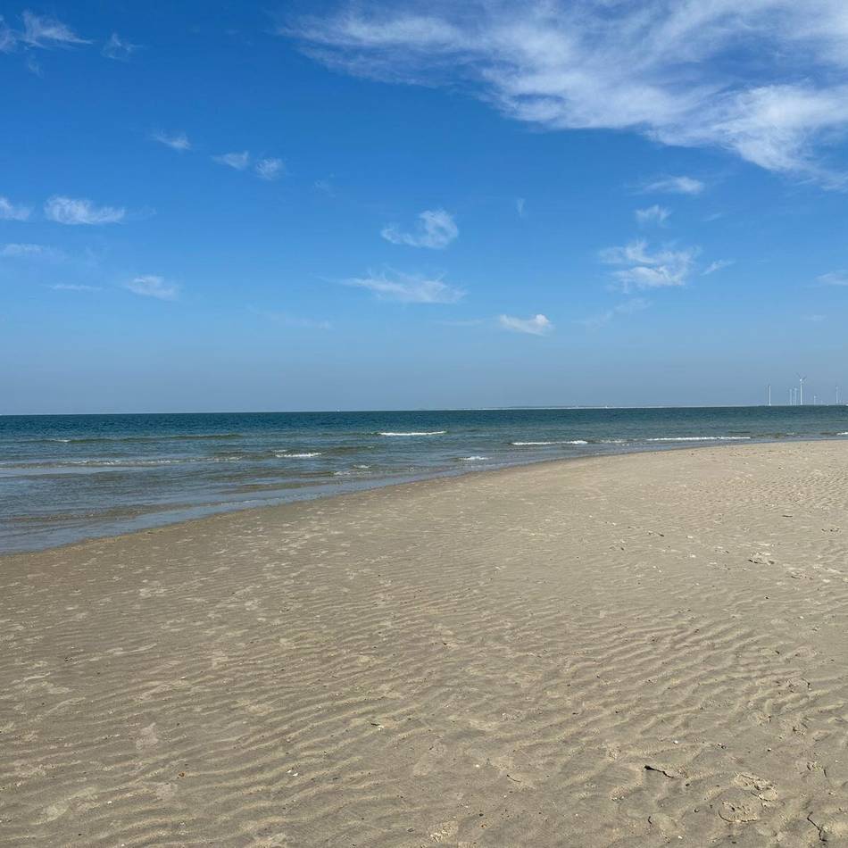 An der niederländischen Küste: Gefährlicher Fang am Strand von Oostkapelle – Stachelrochen sorgt für Aufsehen