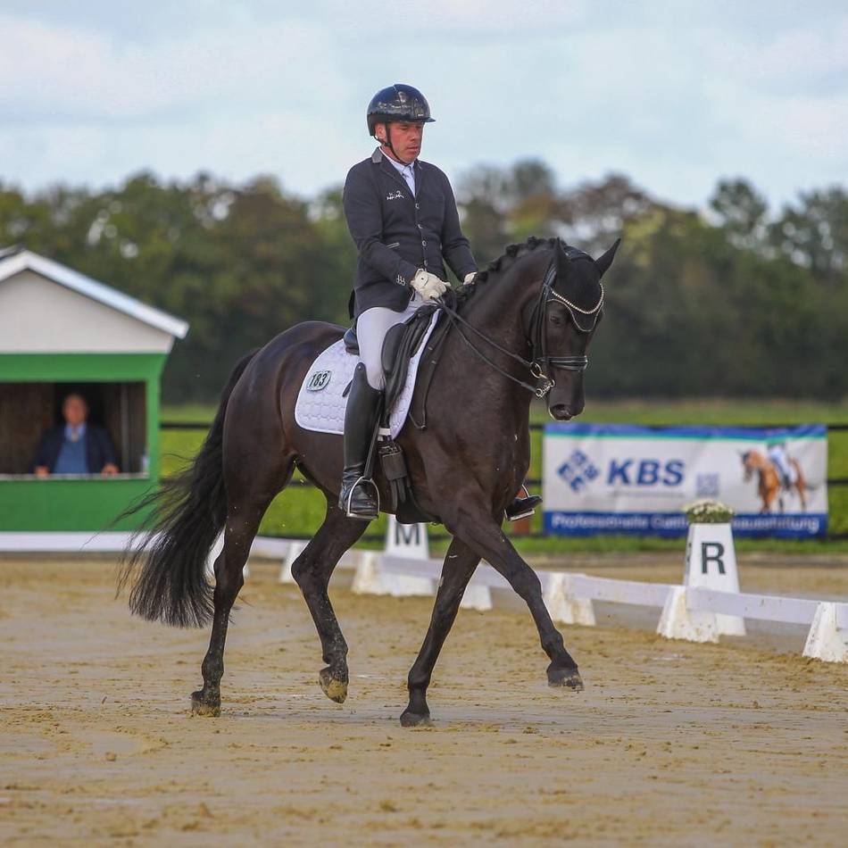 Dritter Sieg mit Pferd Moreno: Markus Ludwigs gewinnt M-Dressur in Helenabrunn