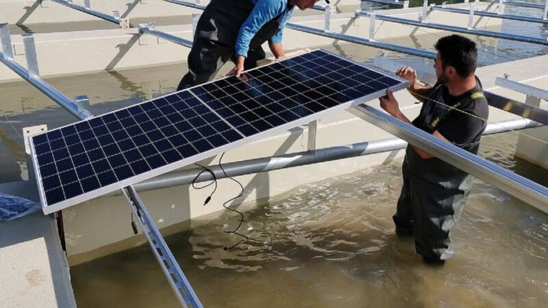 Projekt in Goch: Bedenken gegen die schwimmende Solaranlage auf Kesseler See