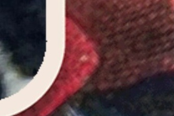 FlotteBiene56