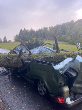 POL-FR: Unwetter – Warnung vor Sturmtief mit einzelnen Orkanböen – mehrere Schäden durch Windbruch – Baum knickt ab und stürzt auf vorbeifahrenden Pkw – 2 schwer verletzte Personen